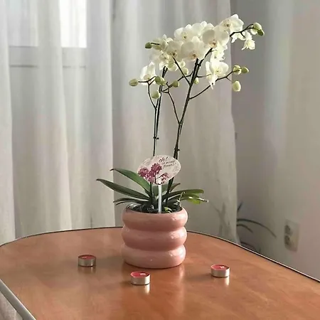 Fully Furnished Spacious 2bedroom Daire Bükreş