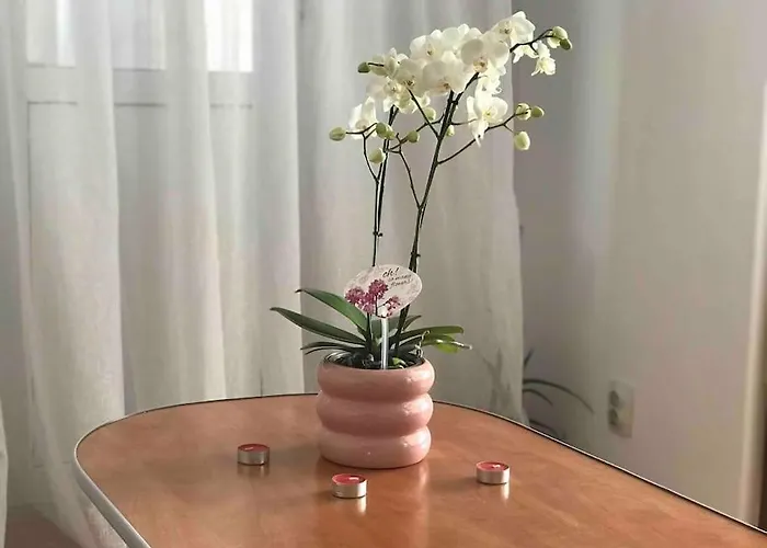 Fully Furnished Spacious 2bedroom Apartment Bukarest