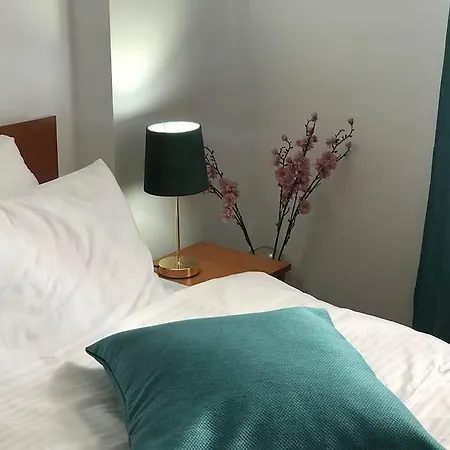 Fully Furnished Spacious 2bedroom Lägenhet